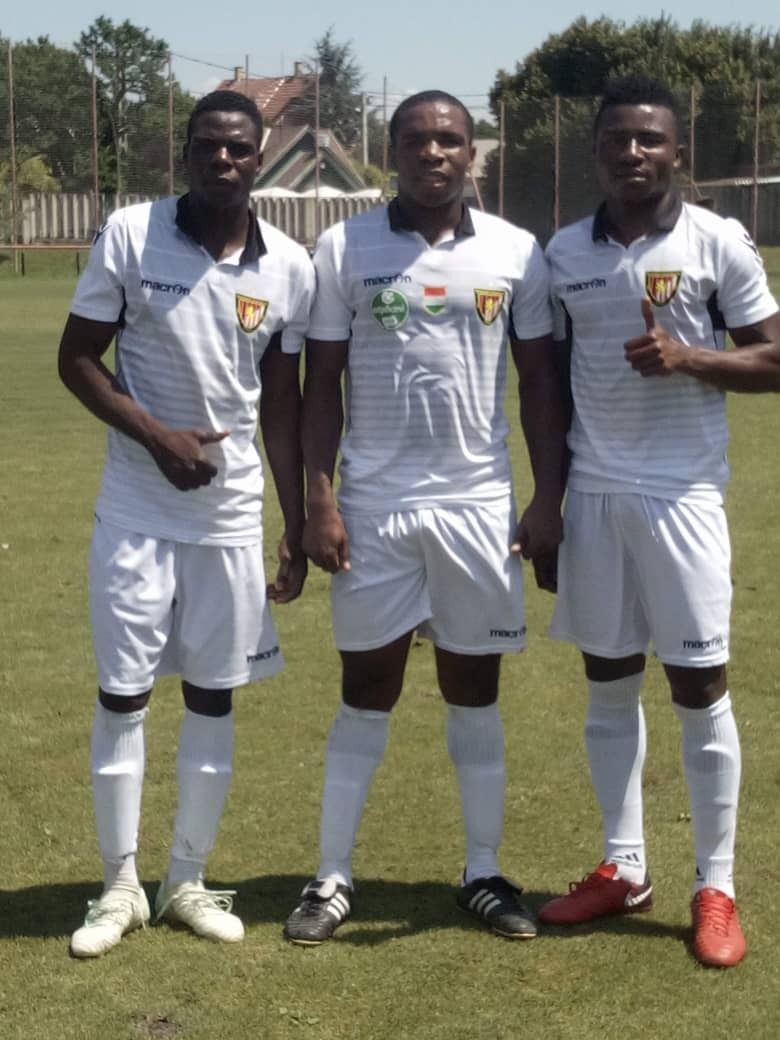 Dreamland products in Hungarian club colours